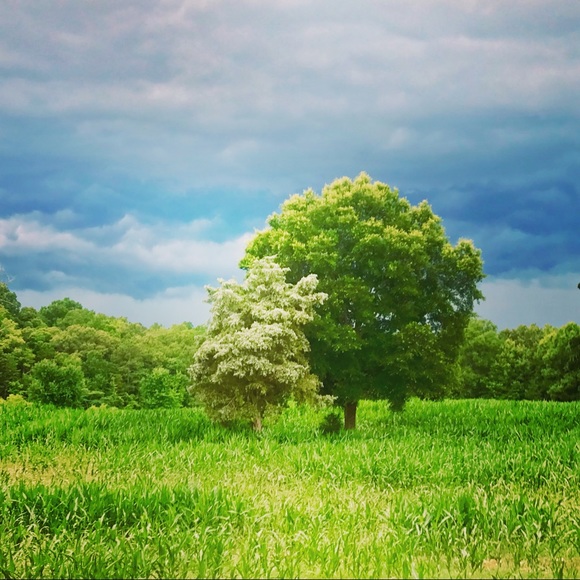 Meet your Posher, Julie - Picture 5 of 7